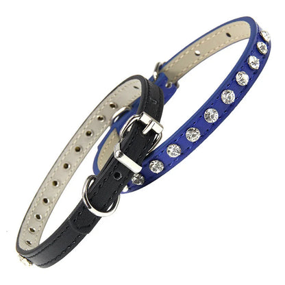 Rhinestone Cat Collar and Leather Dog Neck Strap