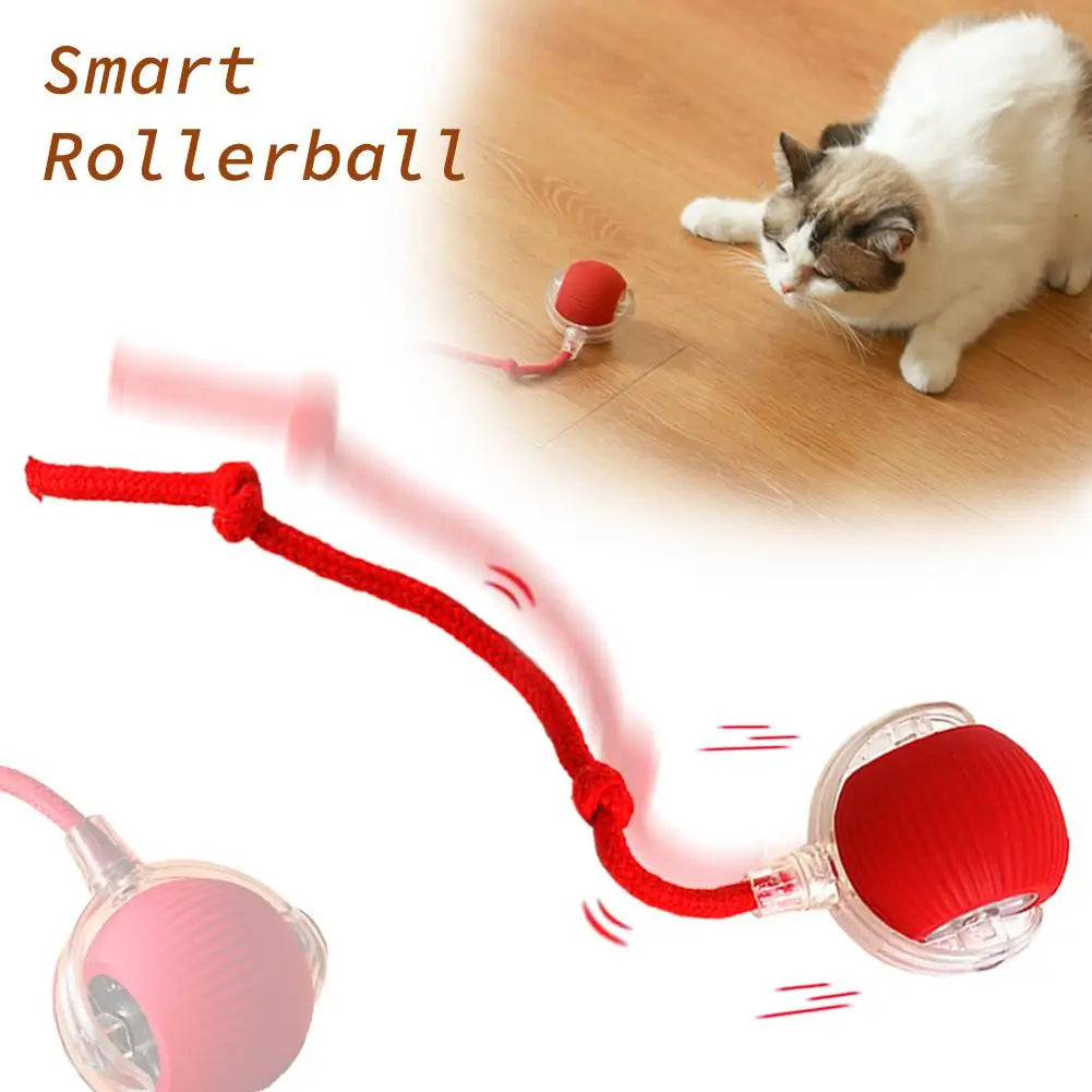 Rechargeable Interactive Cat Ball Toy with Faux Tail