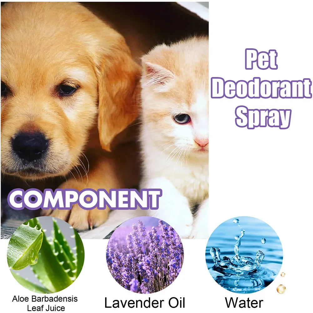 Lavender Oil Pet Deodorizer Spray for Dogs and Cats