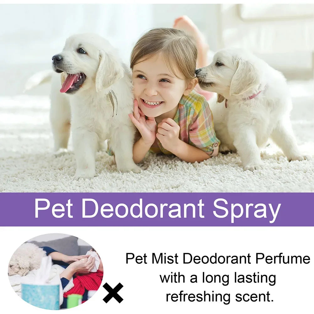 Lavender Oil Pet Deodorizer Spray for Dogs and Cats