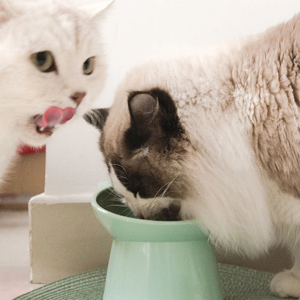 Ergonomic Tilted Cat Food Bowl for Flat-Faced Cats