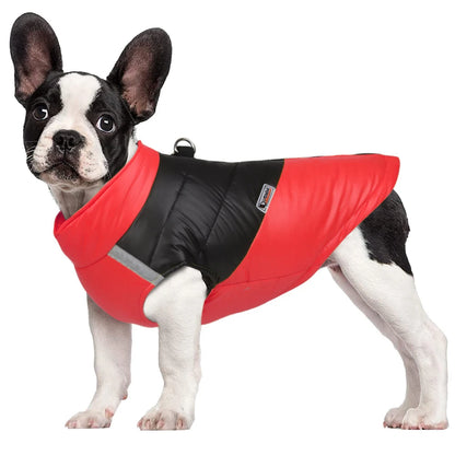 Waterproof Winter Dog Jacket for Small & Large Dogs