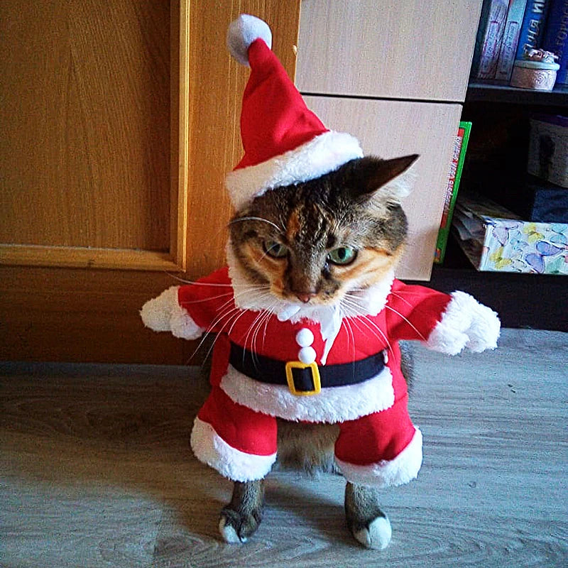 Christmas Cat and Dog Santa Costumes for Festive Parties
