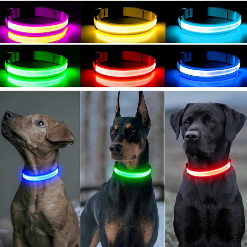 LED Light-Up Dog Collar for Night Safety - USB Rechargeable