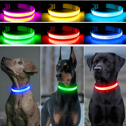 LED Light-Up Dog Collar for Night Safety - USB Rechargeable