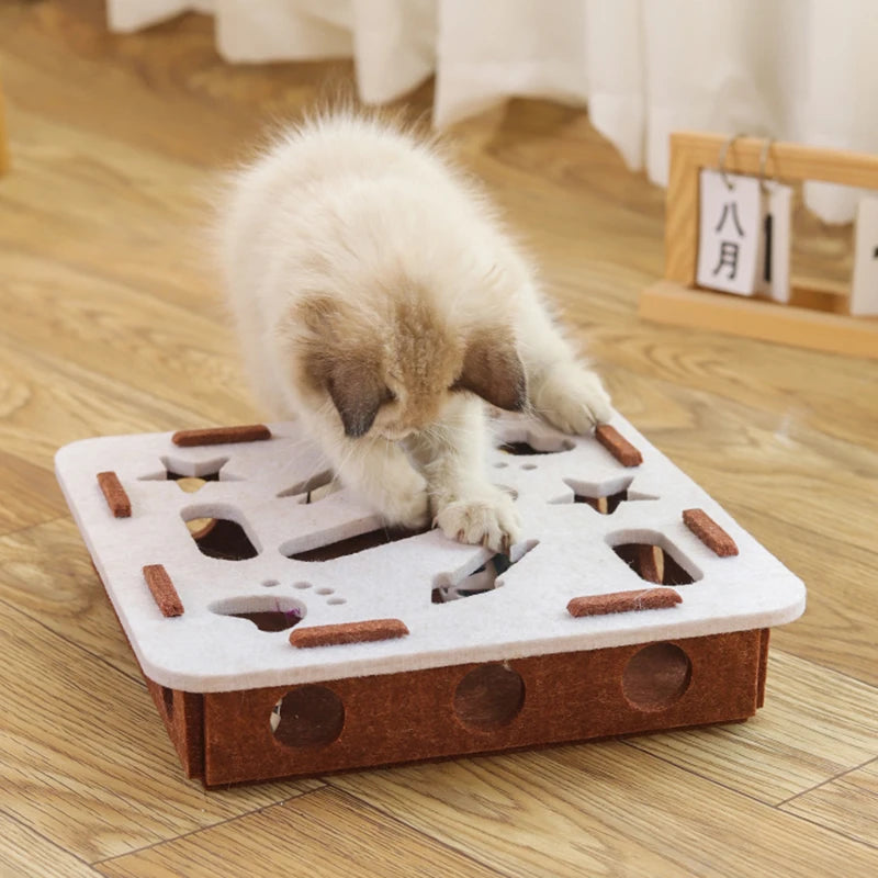 Interactive Cat Puzzle Toy with Ball for Indoor Play