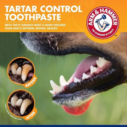 Dog Toothbrush and Toothpaste Kit for Gum Care and Plaque Control