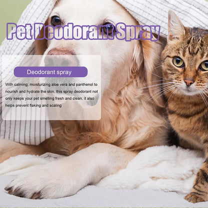 Lavender Oil Pet Deodorizer Spray for Dogs and Cats