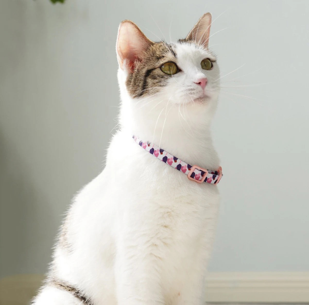 Adjustable Soft Nylon Cat Collar with Small Bell 15-30cm