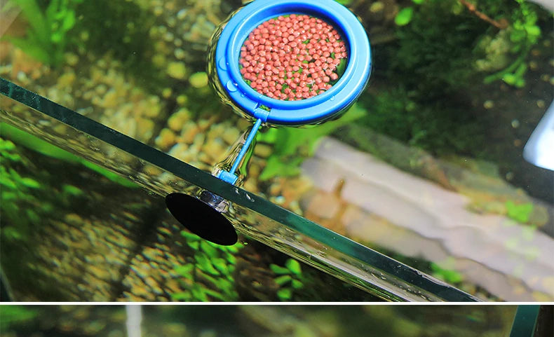 Portable Fish Feeding Ring with Suction Cups for Aquariums