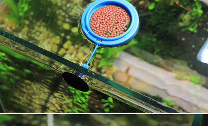 Portable Fish Feeding Ring with Suction Cups for Aquariums