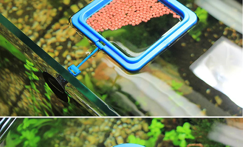Portable Fish Feeding Ring with Suction Cups for Aquariums