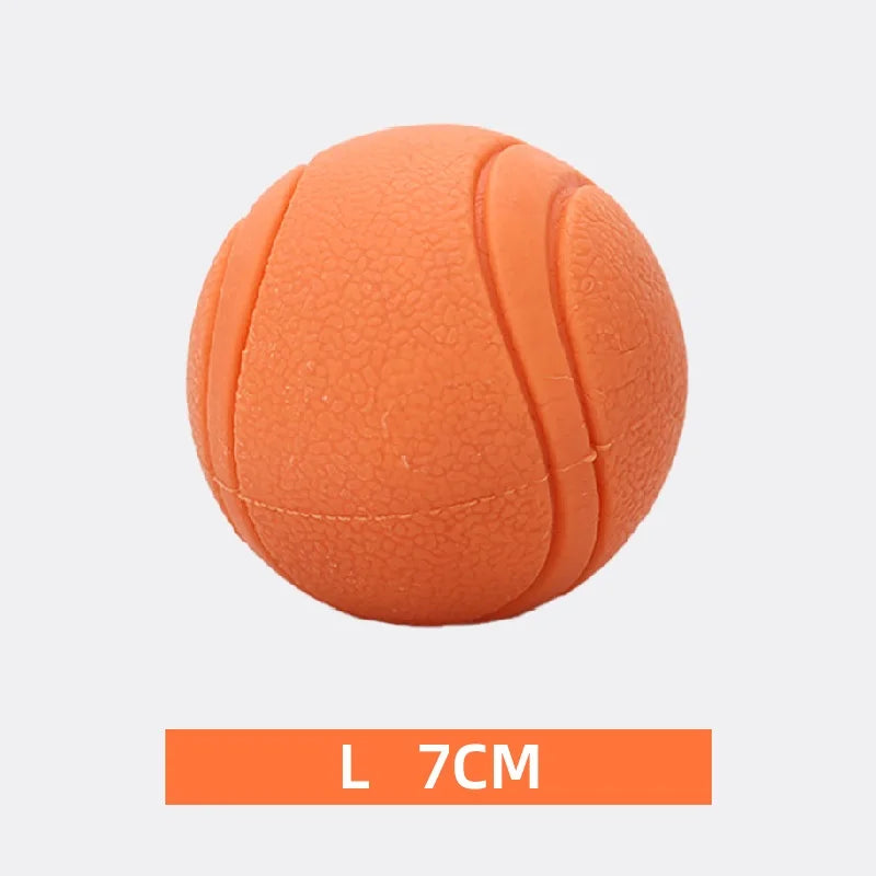Bite-Resistant Rubber Dog Ball Toy for Puppies and Dogs