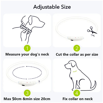 LED Glowing USB Rechargeable Pet Safety Collar for Dogs and Cats