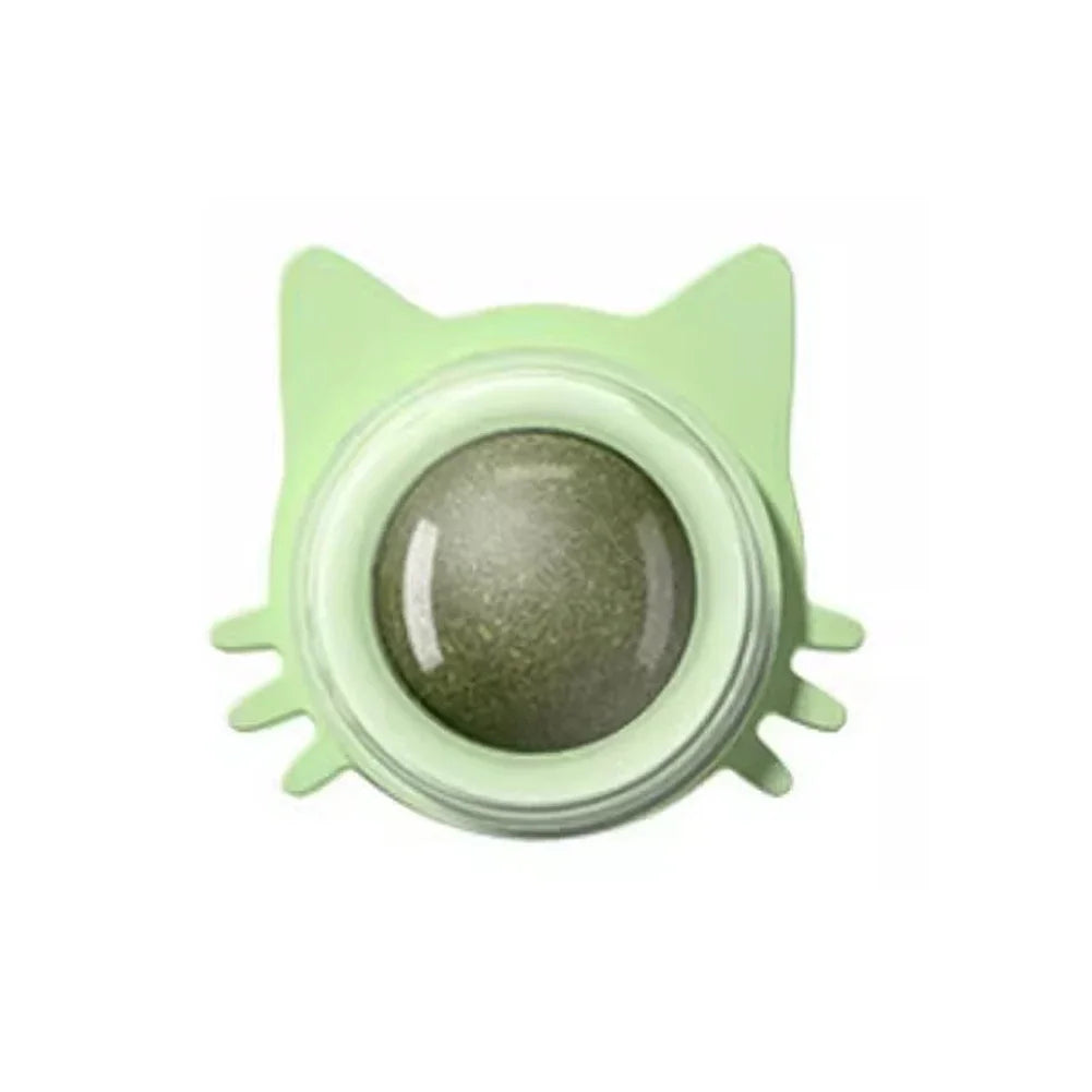 Catnip Lollipop Treat for Dental Care and Fresh Breath
