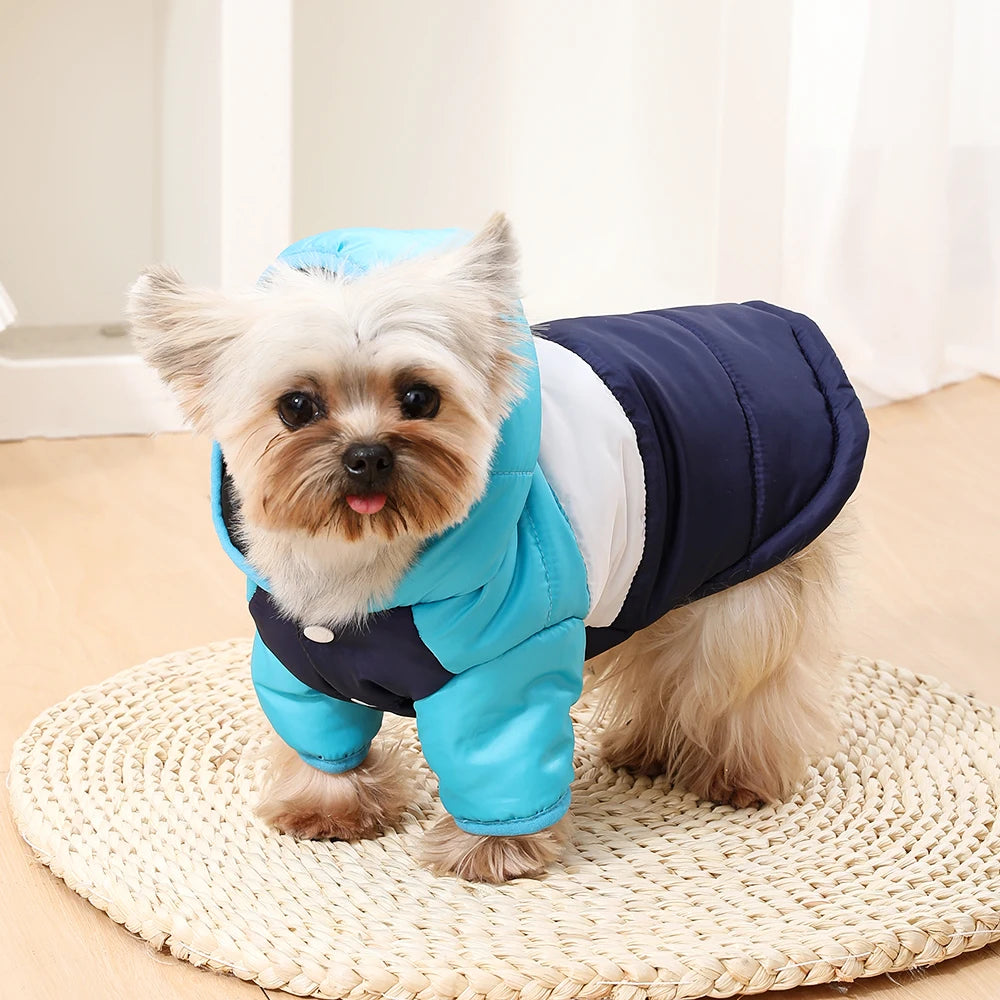 Waterproof Windproof Dog Hoodie for Small Dogs and Cats