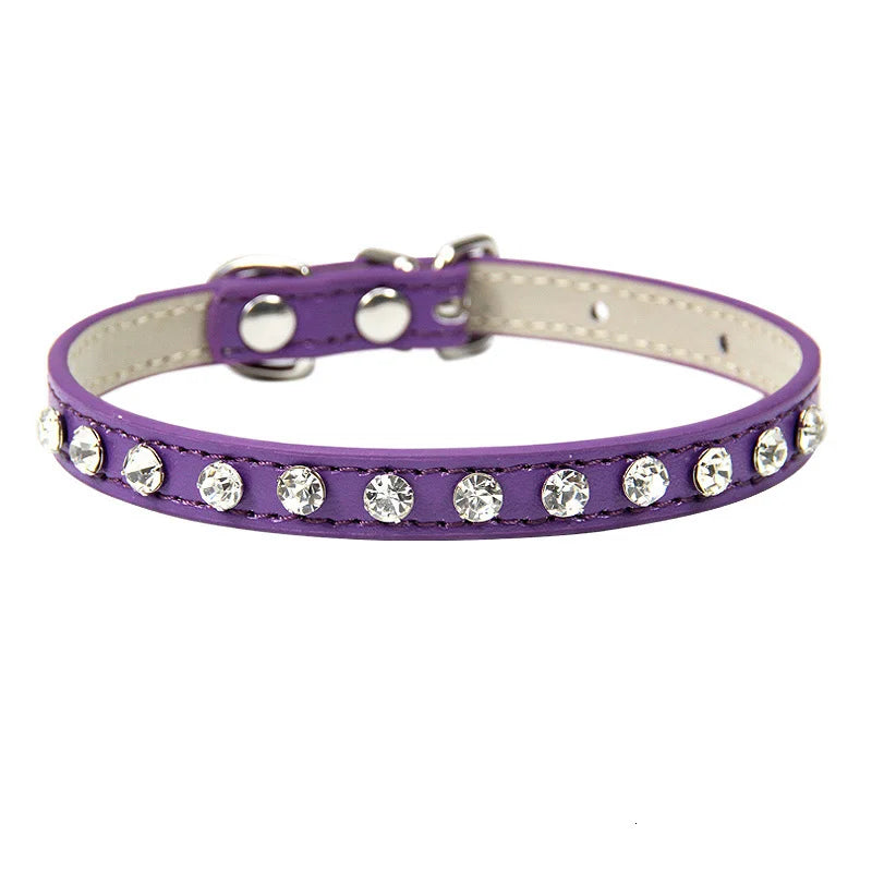 Rhinestone Cat Collar and Leather Dog Neck Strap