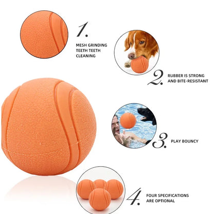 Bite-Resistant Rubber Dog Ball Toy for Puppies and Dogs