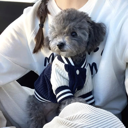 Embroidered Baseball Jacket for Small Dogs and Cats