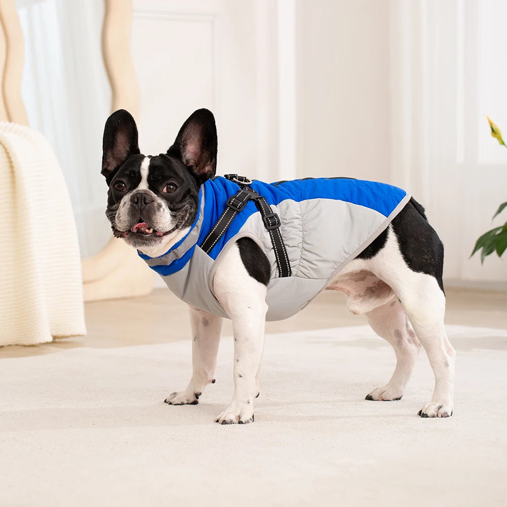 Waterproof Winter Dog Jacket with Harness for Small to Large Breeds
