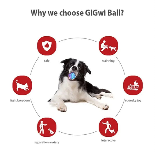 Squeaky Interactive Dog Ball for Small/Medium Dogs - 2.5"