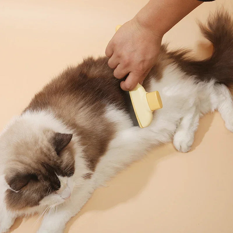 Cat and Dog Hair Removal Brush for Easy Grooming