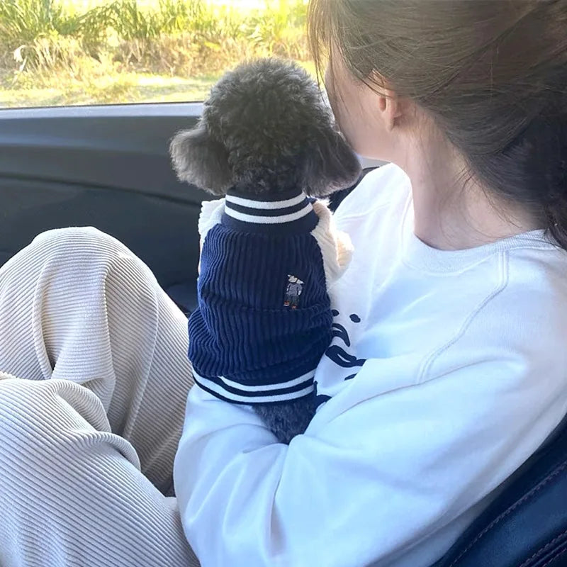 Embroidered Baseball Jacket for Small Dogs and Cats