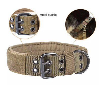 Reflective Heavy-Duty Nylon Dog Collar for Training