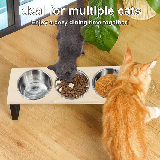Tilted Raised Cat Feeder with 3 Stainless Steel Bowls