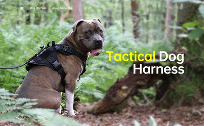 Tactical Dog Harness and Leash Set for All Breeds