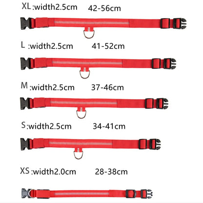 LED Glowing USB Rechargeable Pet Safety Collar for Dogs and Cats