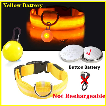 LED Light-Up Dog Collar for Night Safety - USB Rechargeable