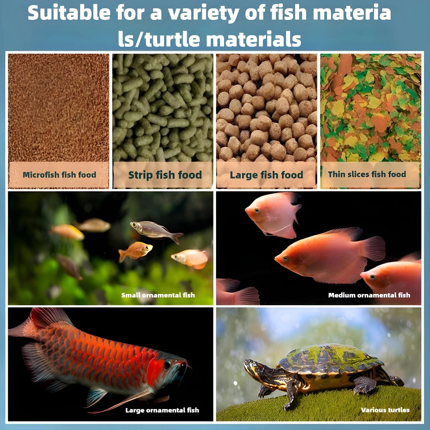Smart Fish Feeder with Timer - Perfect for Fish and Turtles