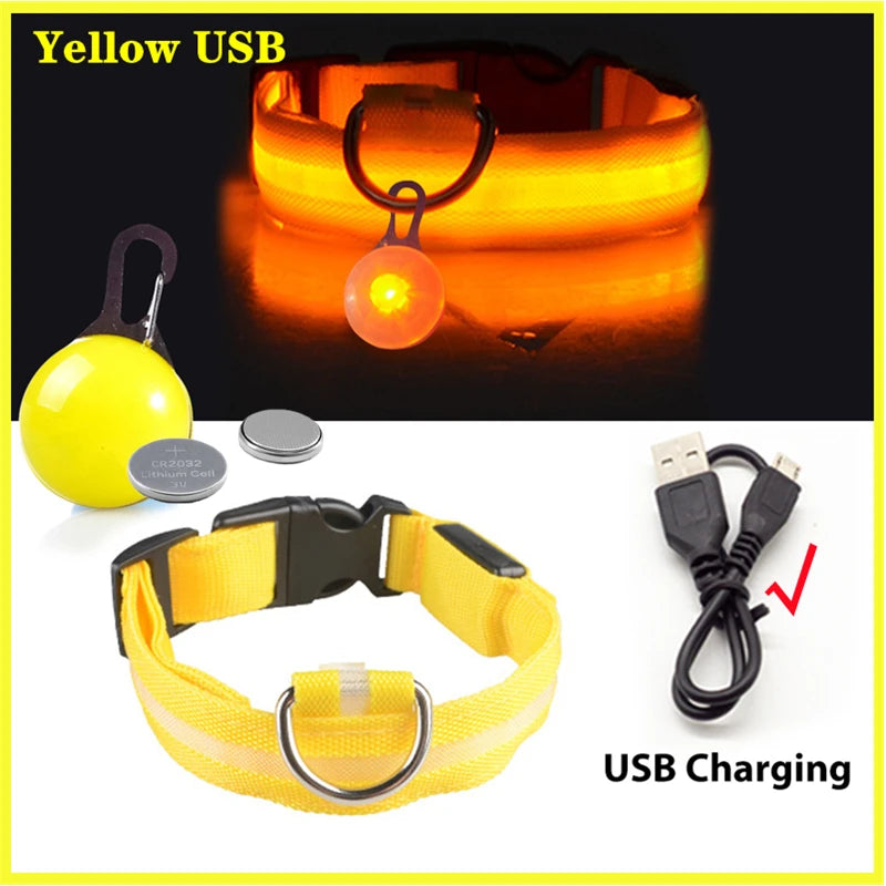 LED Light-Up Dog Collar for Night Safety - USB Rechargeable