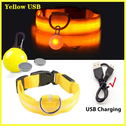 LED Light-Up Dog Collar for Night Safety - USB Rechargeable