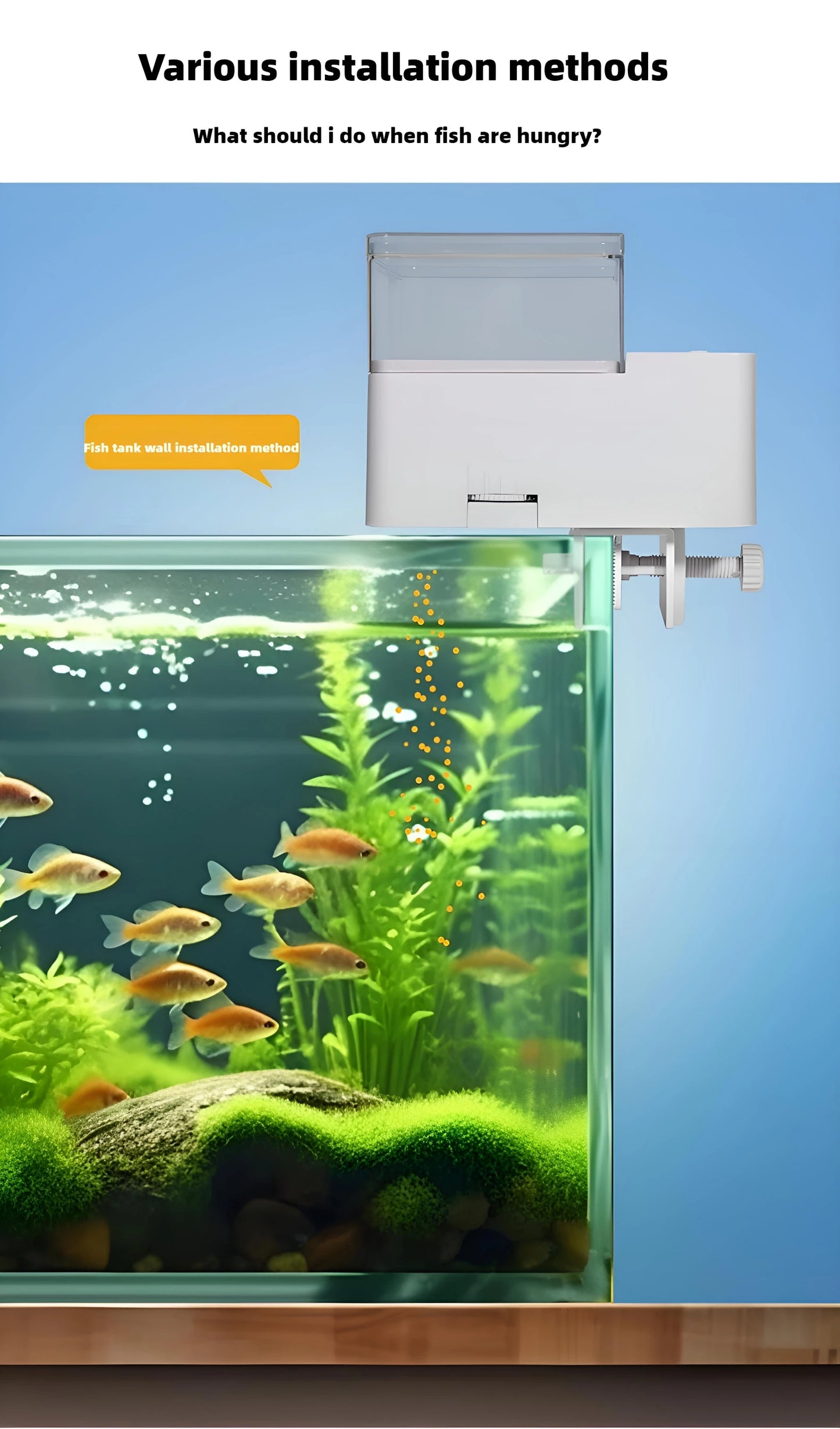 Smart Fish Feeder with Timer - Perfect for Fish and Turtles