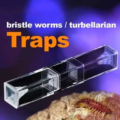 Acrylic Worm Catcher Trap for Freshwater and Saltwater Aquariums