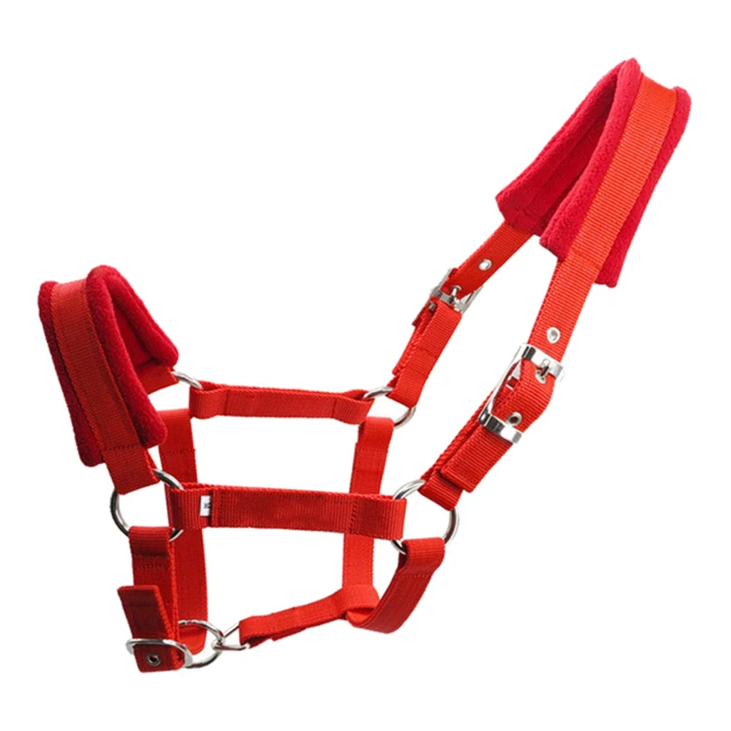Padded Pony Horse Halter and Bridle for Riding