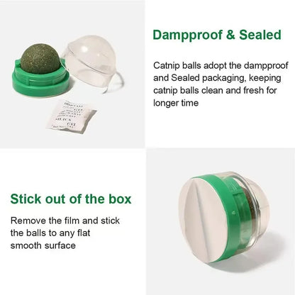 Natural Catnip Wall Ball Toy for Healthy Digestion