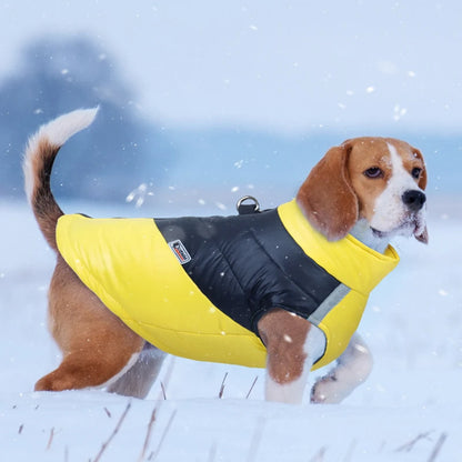 Waterproof Winter Dog Jacket for Small & Large Dogs