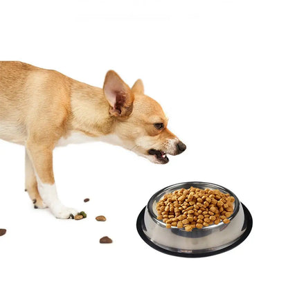 Large Steel Pet Feeding Bowl for Cats and Dogs