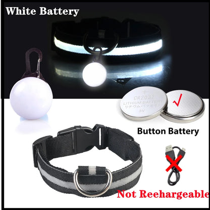 LED Light-Up Dog Collar for Night Safety - USB Rechargeable