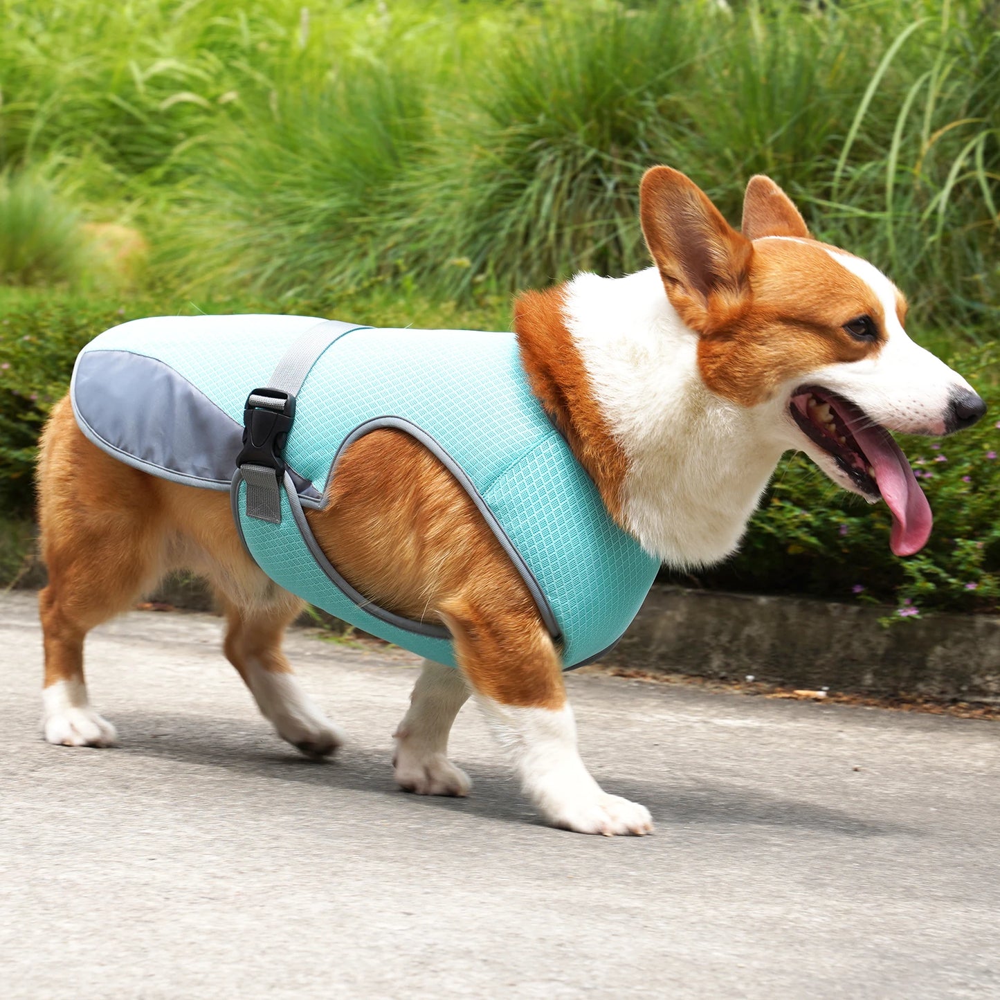 Adjustable Cooling Vest for Dogs - Lightweight & Reflective