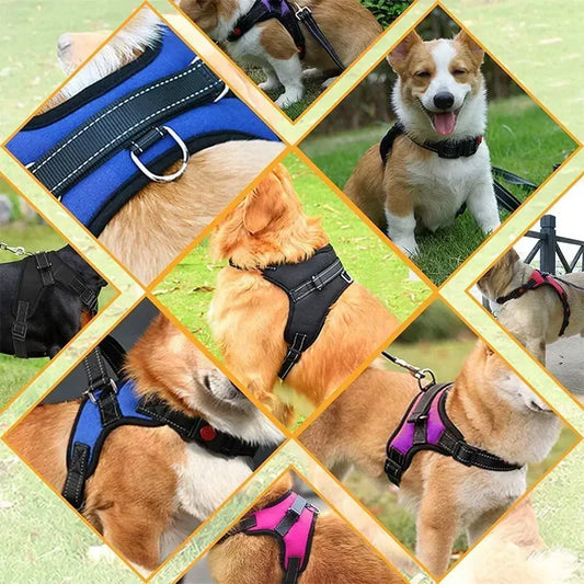 Adjustable Dog Harness and Leash Set for Small to Medium Dogs