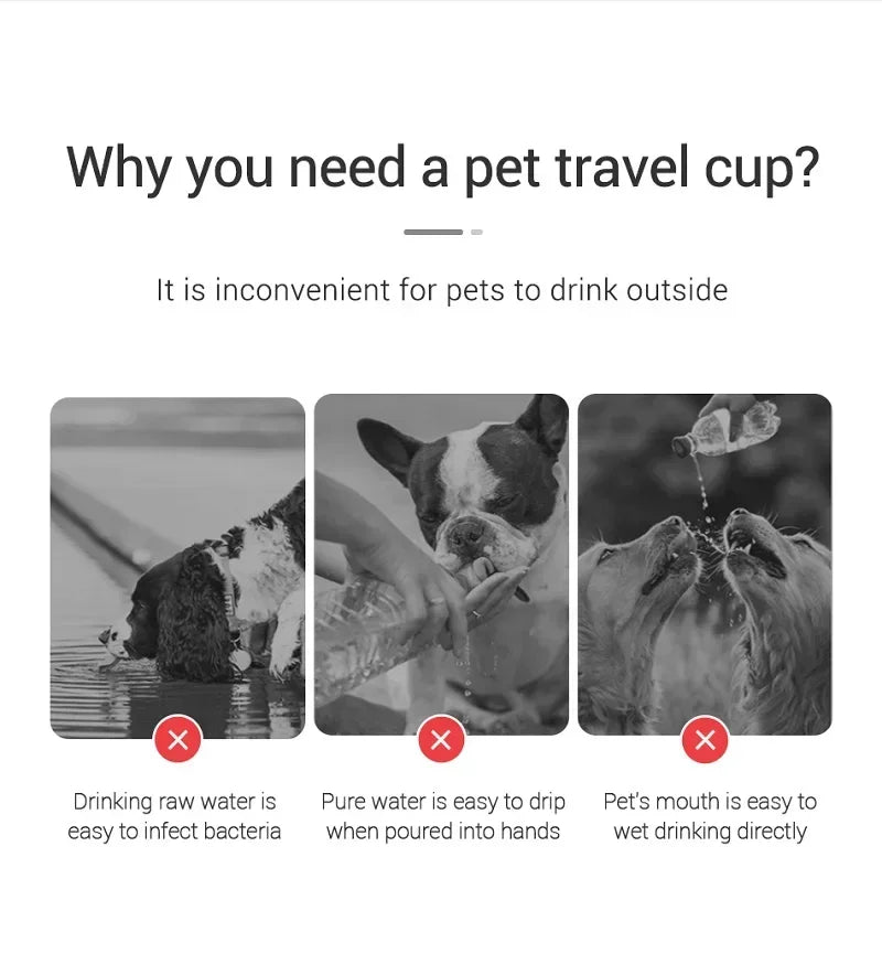 Leakproof Portable Water Bottle for Dogs and Cats Outdoors