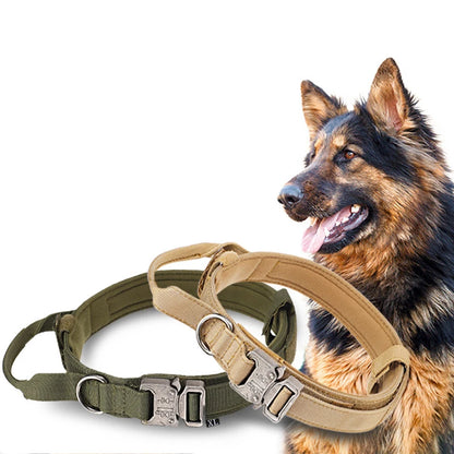Durable Nylon Dog Collar and Reflective Leash Set