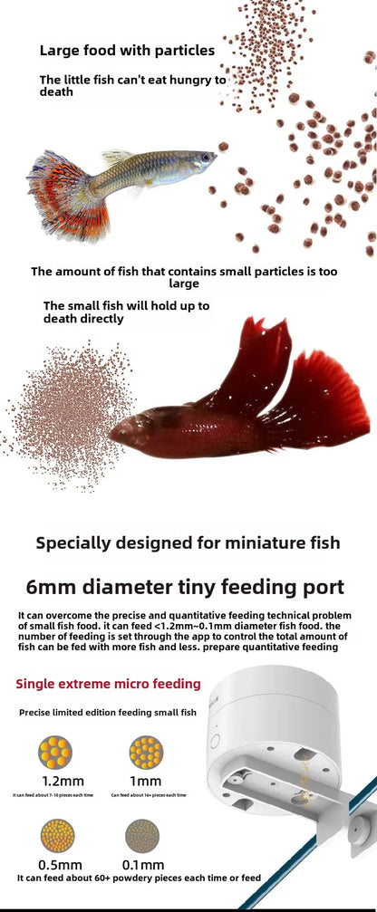 Timed Fish Feeder for Small Tanks - Clog-Free Design