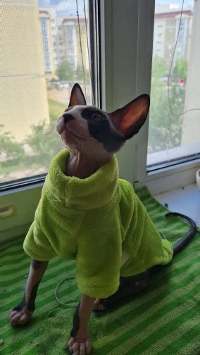 Sphynx Cat Sweater and Hoodie Outfit for Pets