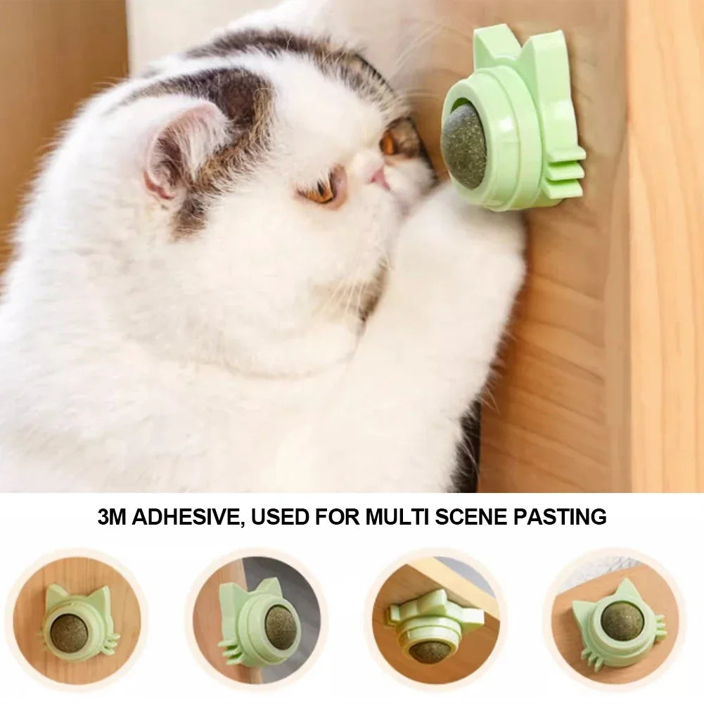 Catnip Lollipop Treat for Dental Care and Fresh Breath