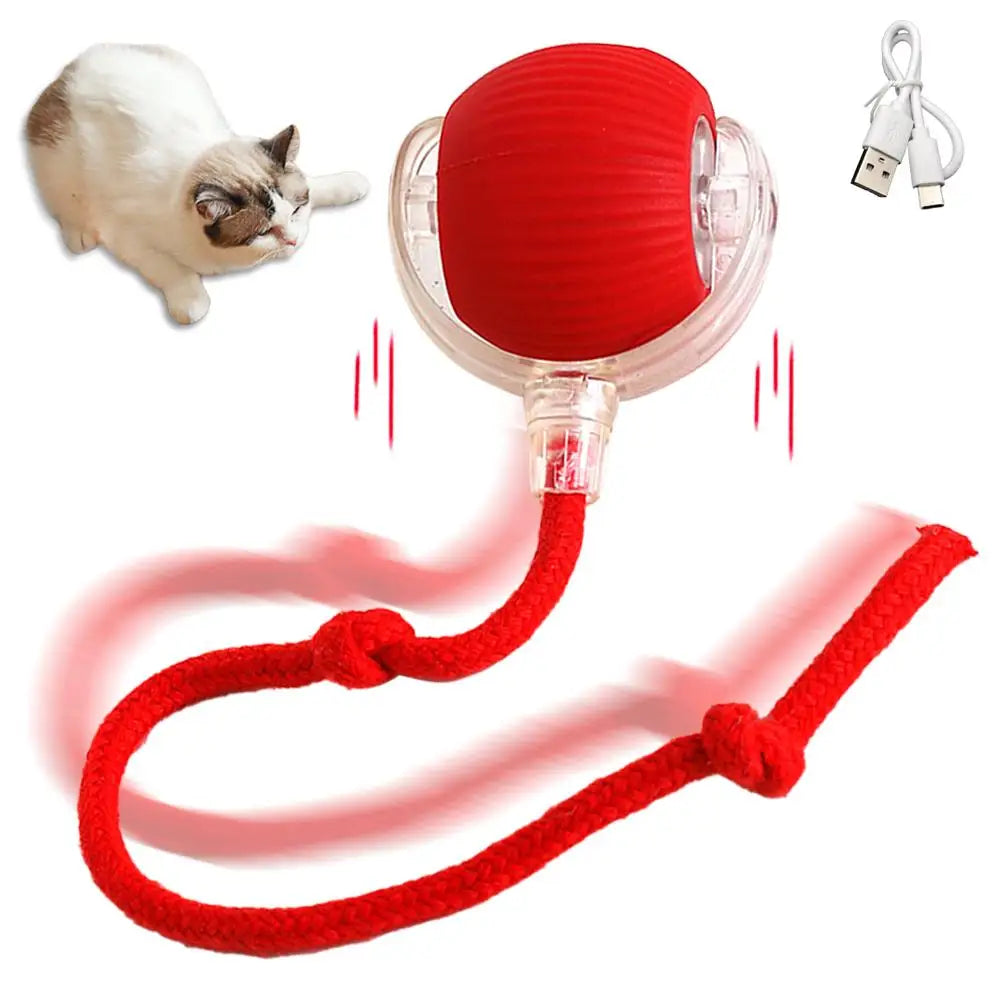 Rechargeable Interactive Cat Ball Toy with Faux Tail